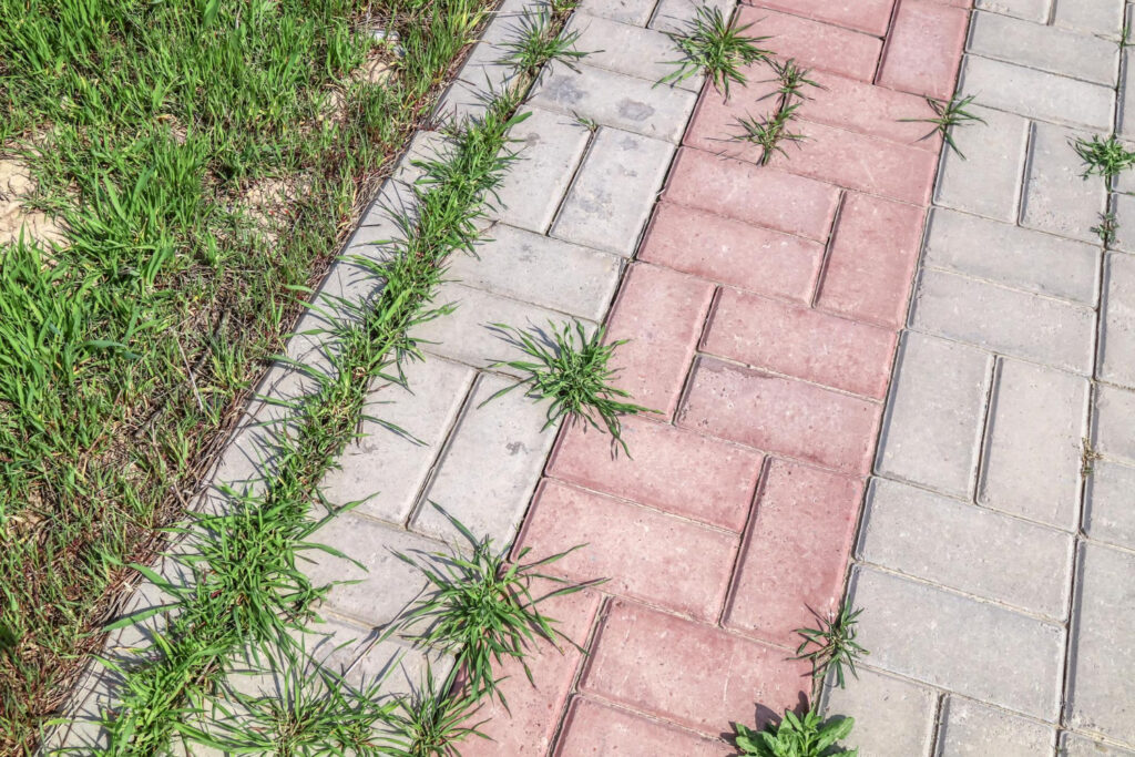 trinkelių priežiūros patarimai