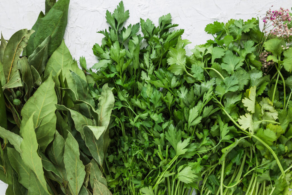 Prieskoninė žolelė nuo uždegimų ir skausmo: ką verta žinoti prieš sureikšminant