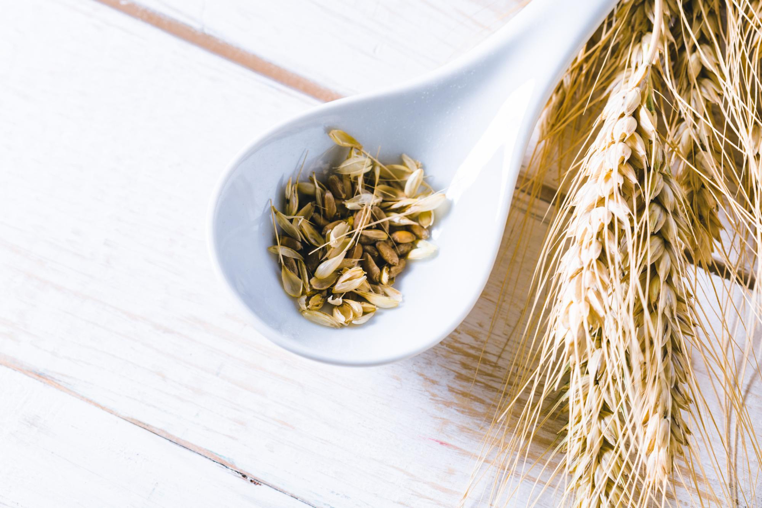 Avižų raugas: gėrimas, apie kurį kalba seneliai – ką jis iš tikro gali duoti organizmui