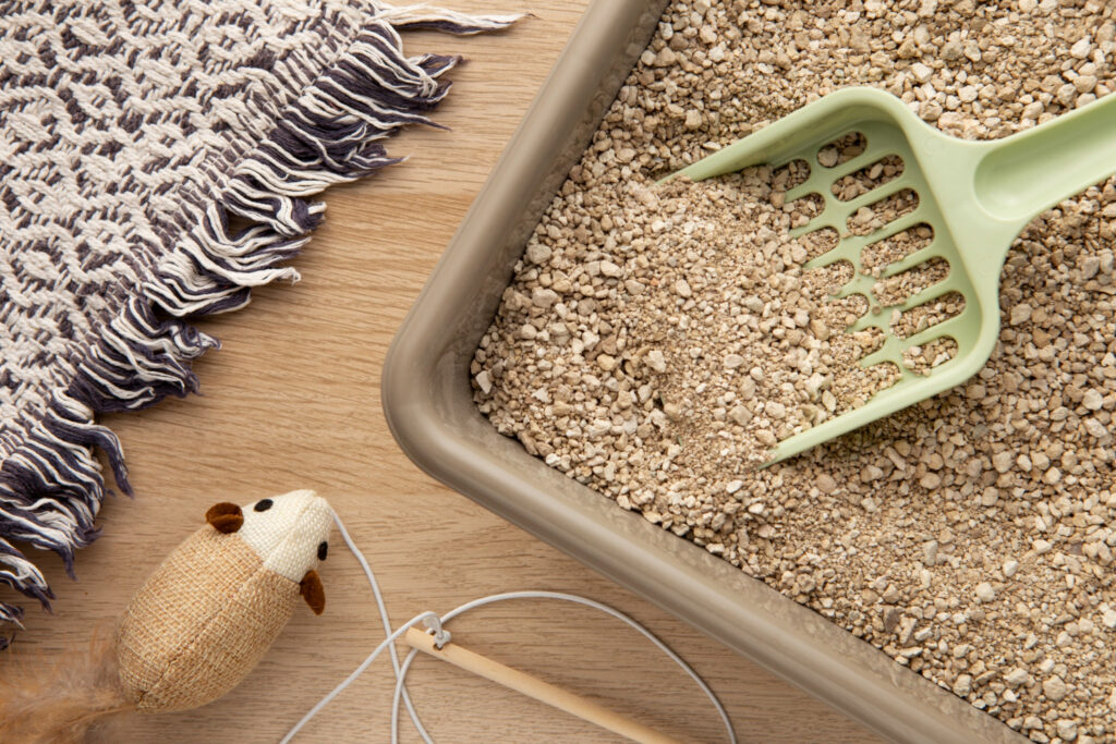 Veiksmingiausios priemonės nuo kačių šlapinimosi namuose