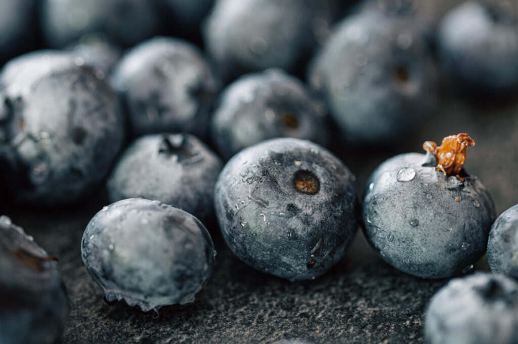 Kada sodinti šilauoges, kad jos prigytų be papildomų trąšų