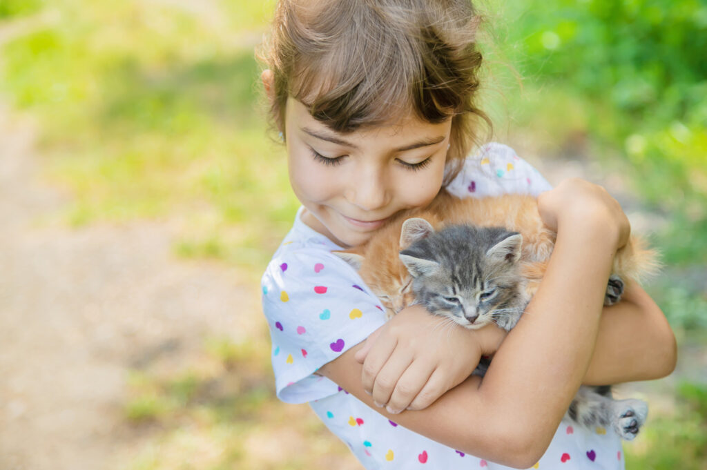 Kaip atskirti katiną nuo katės: paprasti ir patikimi būdai