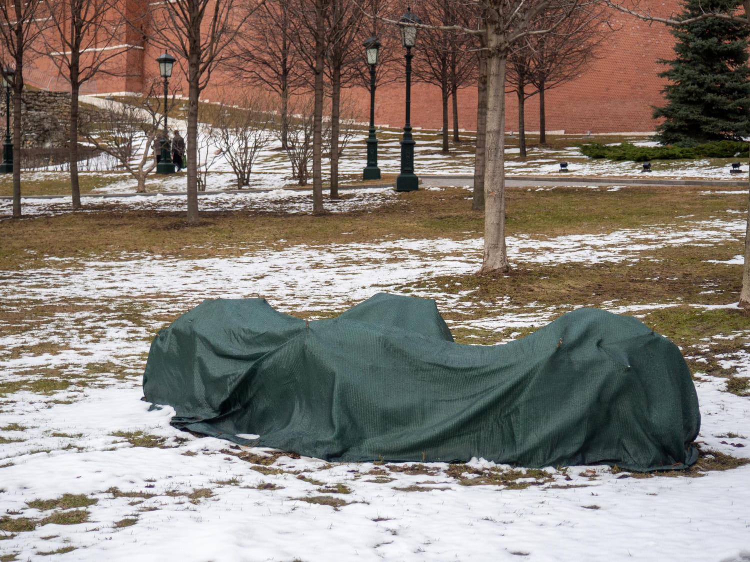 Patikimi būdai apsaugoti augalus nuo šalčio