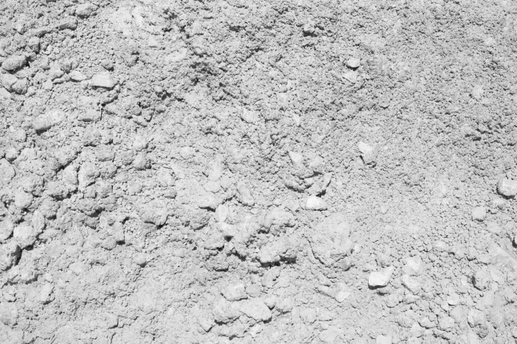 Senas svogūnų tręšimo būdas, kuris grįžta į madą ne šiaip sau